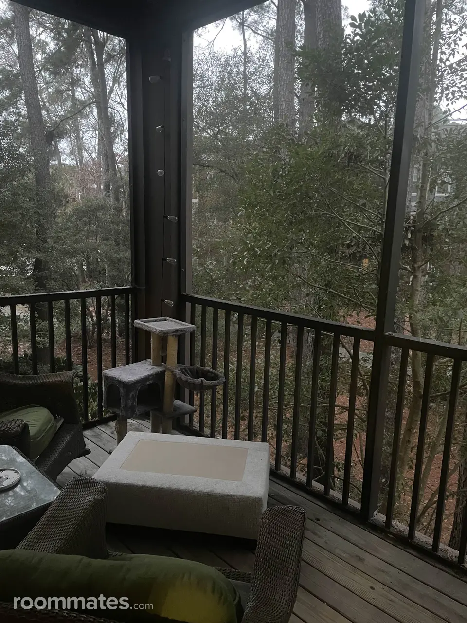 Profile photo 8 of 13