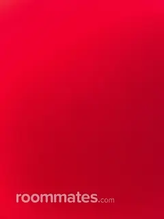 Roommate looking Norfolk, VA, $600