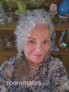 Roommate looking Toms River, NJ, $800