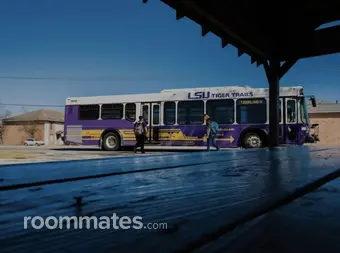 Room for rent in Baton Rouge, LA $488, apartment