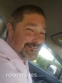 Roommate looking Arden, NC, $800