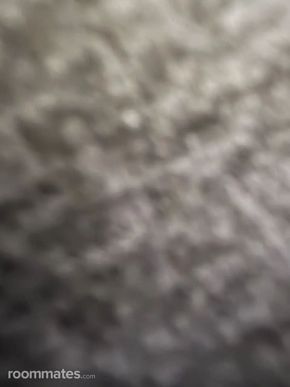 Profile photo 1 of 1