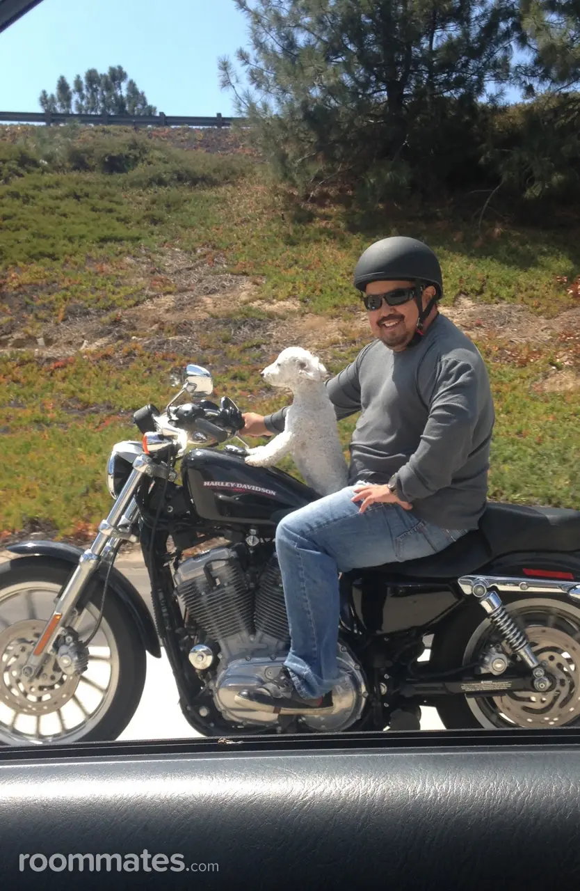 Profile photo 1 of 1