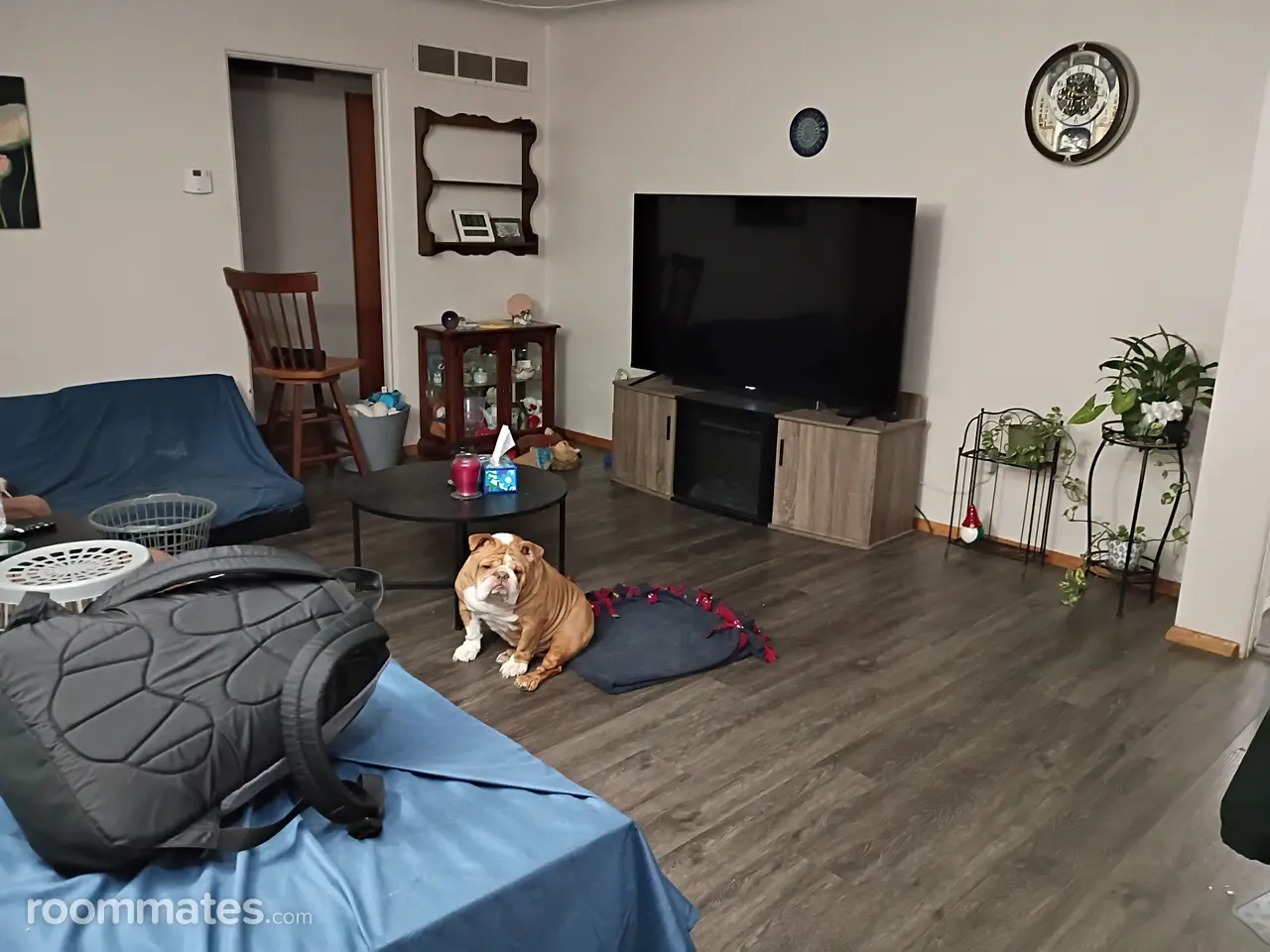 Profile photo 6 of 9