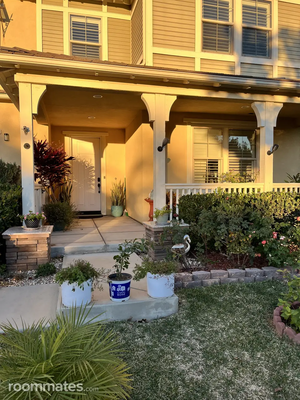 Profile photo 1 of 13