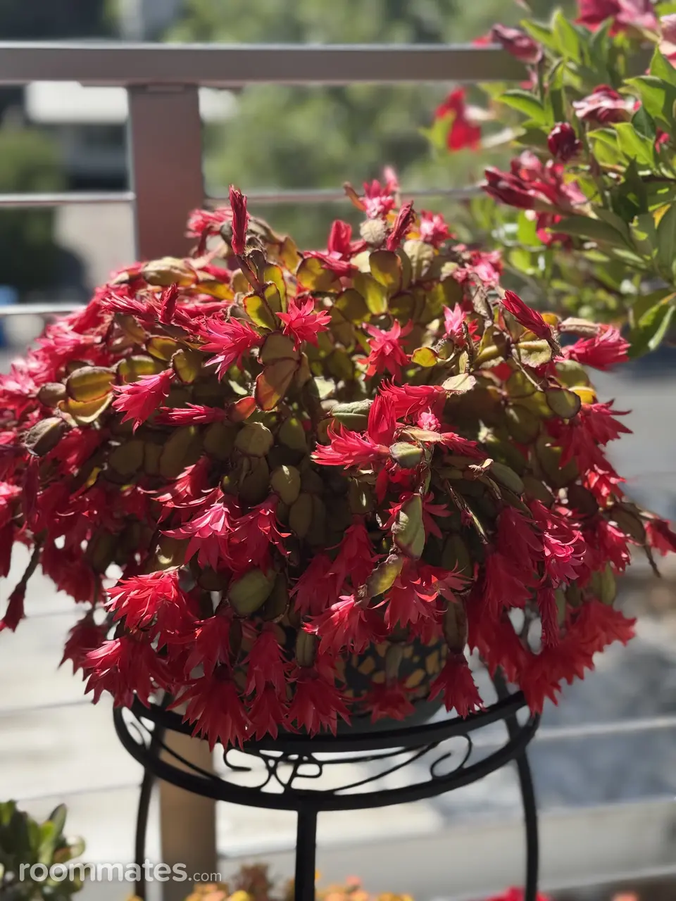 Profile photo 1 of 1