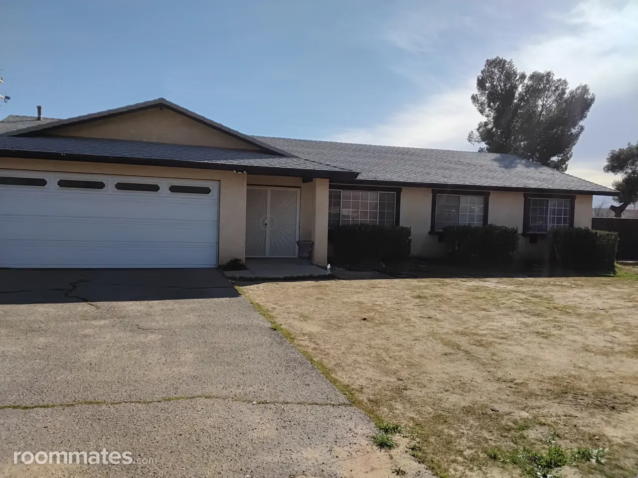 Profile photo 4 of 11