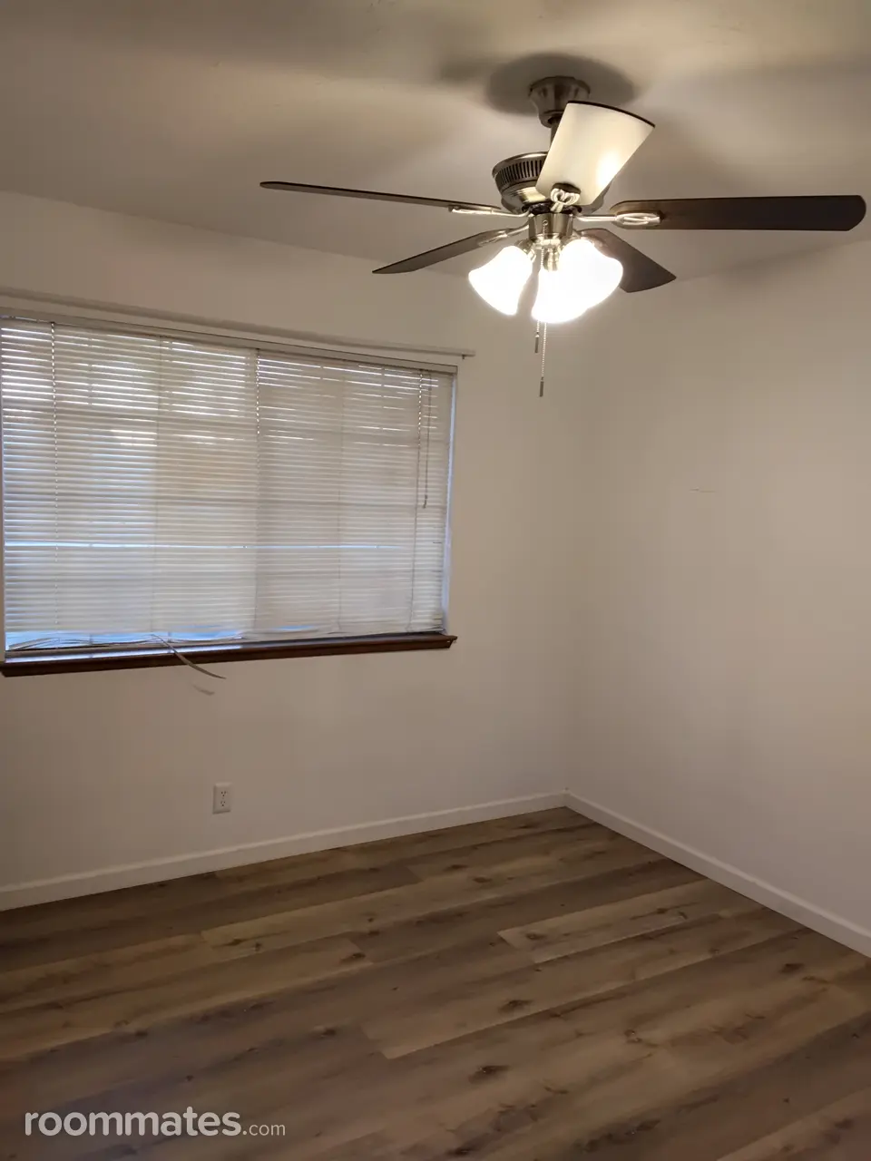 Profile photo 10 of 11