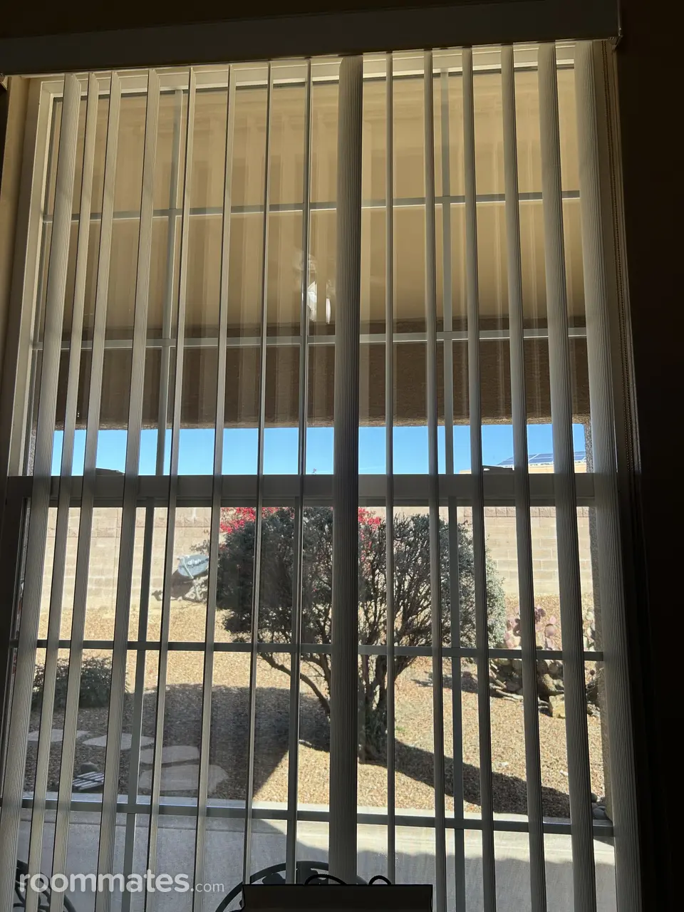 Profile photo 8 of 9