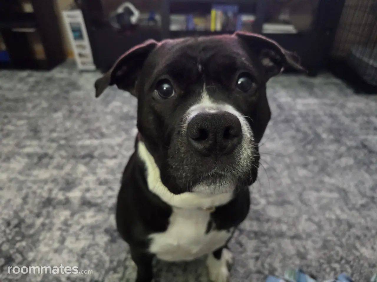 Profile photo 7 of 11