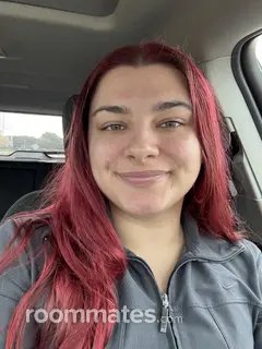 Roommate looking Greenville, NC, $500