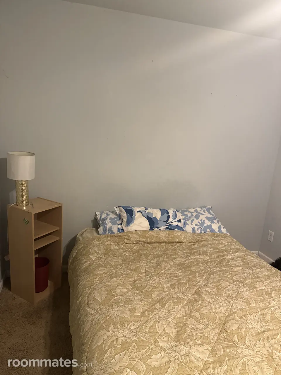 Profile photo 2 of 6