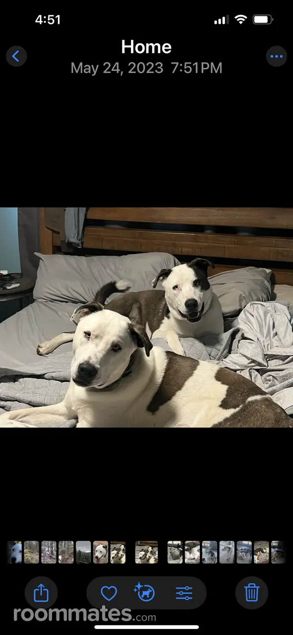 Profile photo 2 of 2