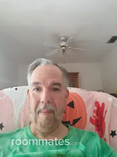 Roommate looking Sarasota, FL, $500