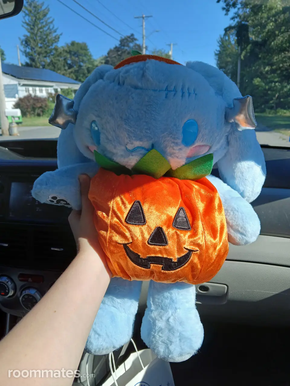 Profile photo 1 of 1