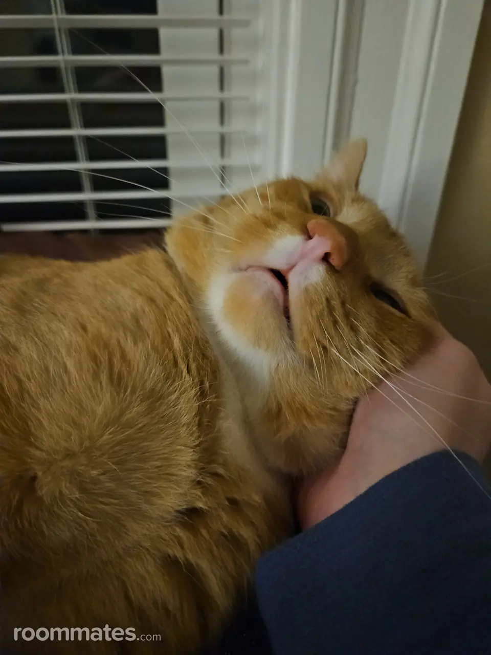 Profile photo 1 of 2