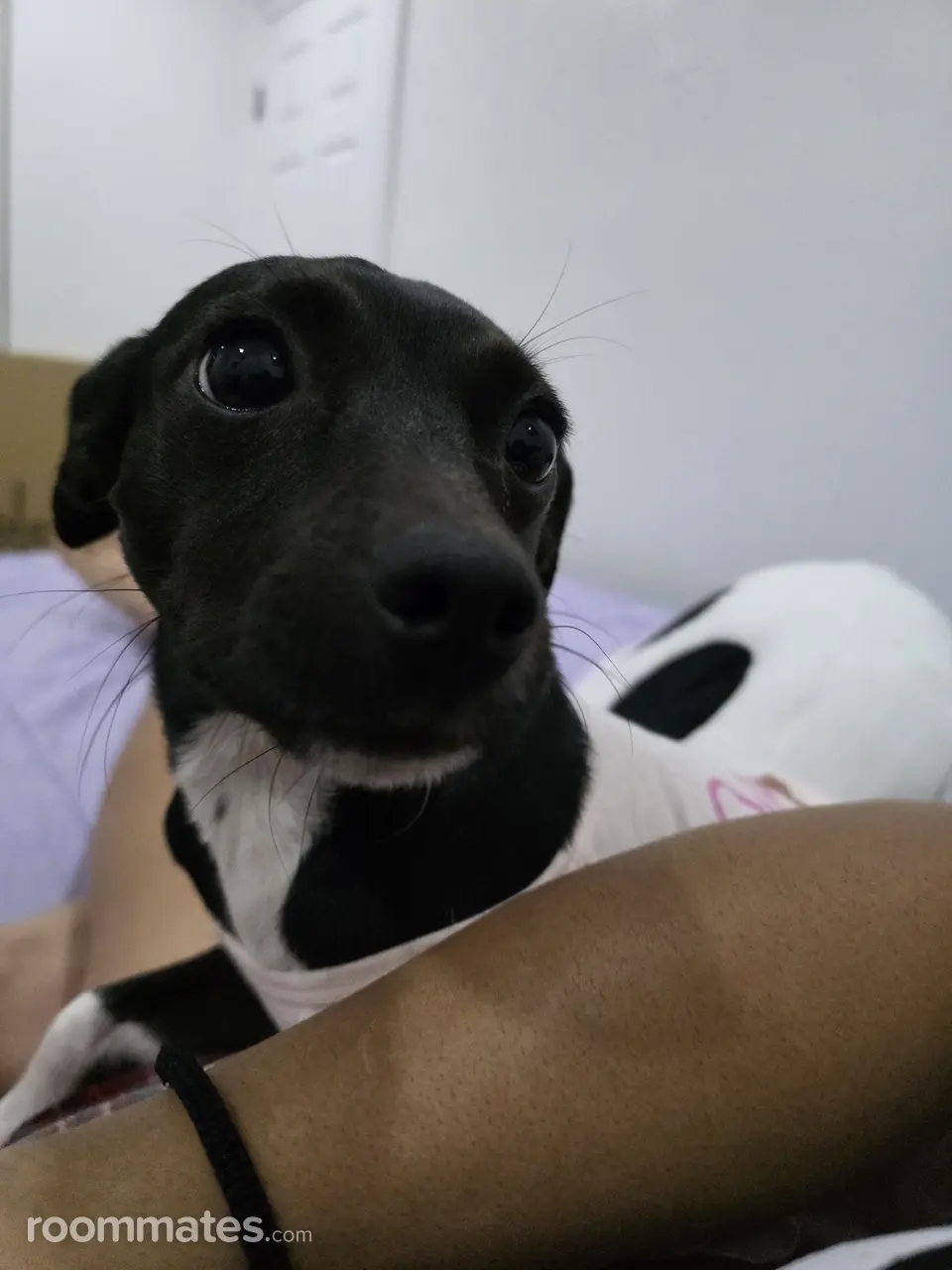 Profile photo 3 of 3