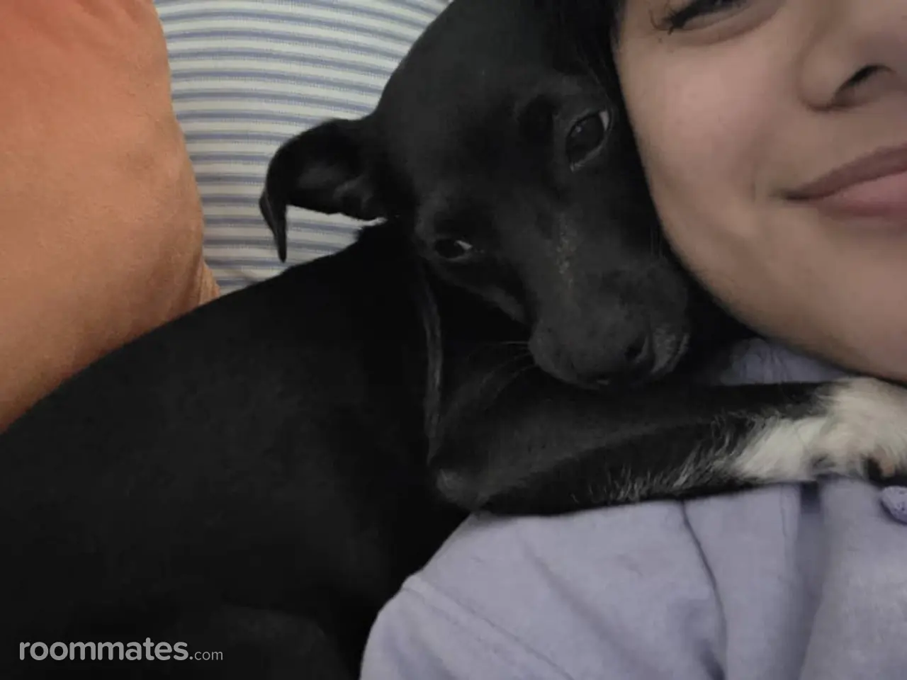 Profile photo 2 of 3