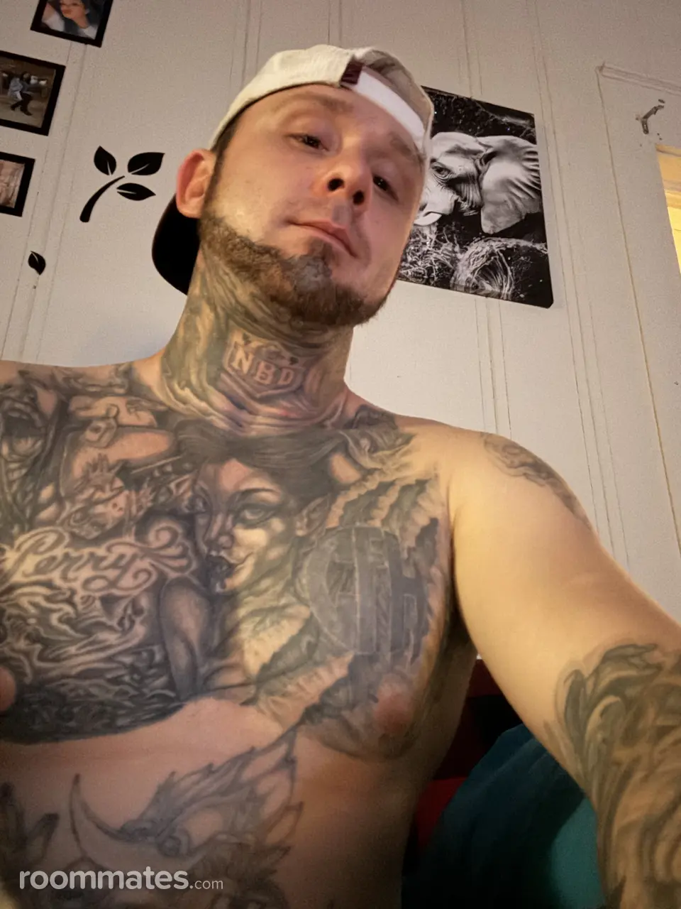 Profile photo 2 of 8