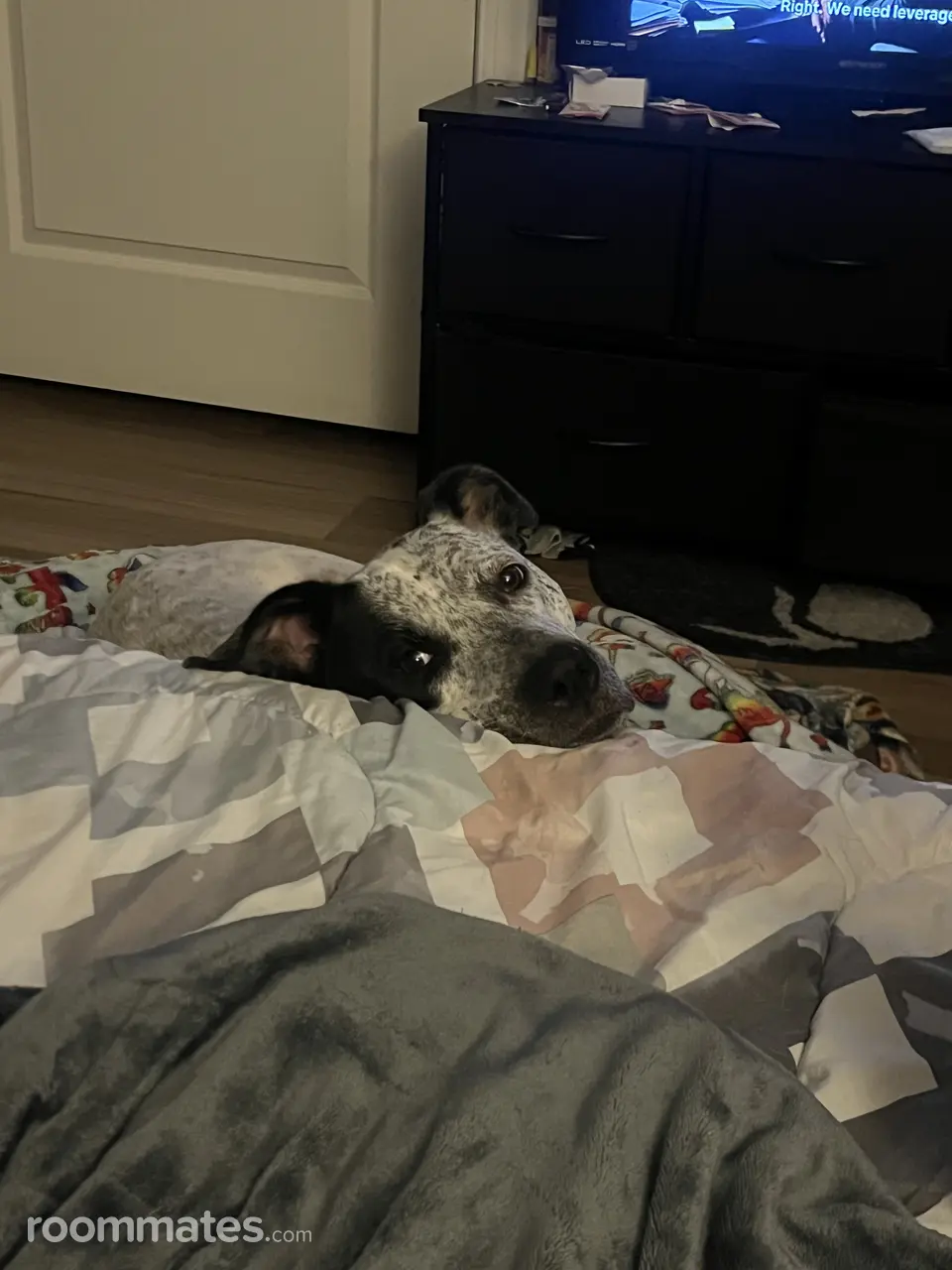 Profile photo 5 of 8