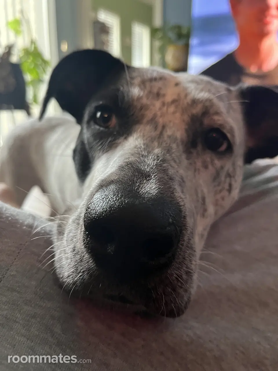 Profile photo 6 of 8