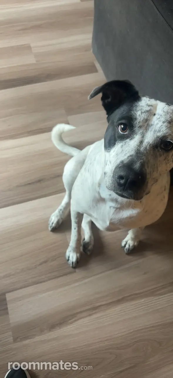 Profile photo 8 of 8