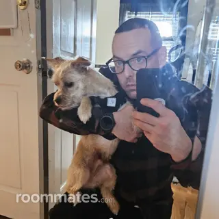 Roommate looking Providence, RI, $800