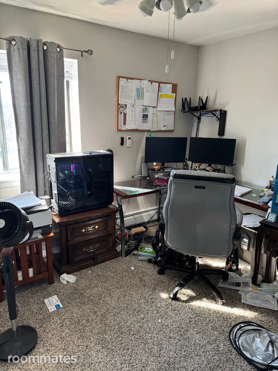 Profile photo 9 of 11