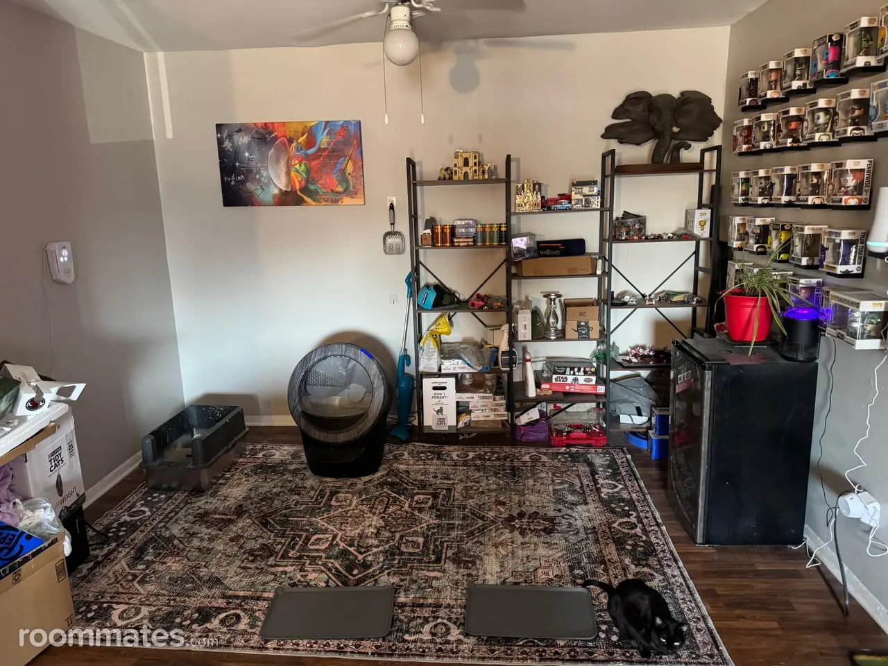 Profile photo 10 of 11