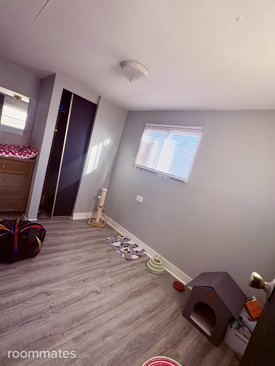 Profile photo 2 of 6