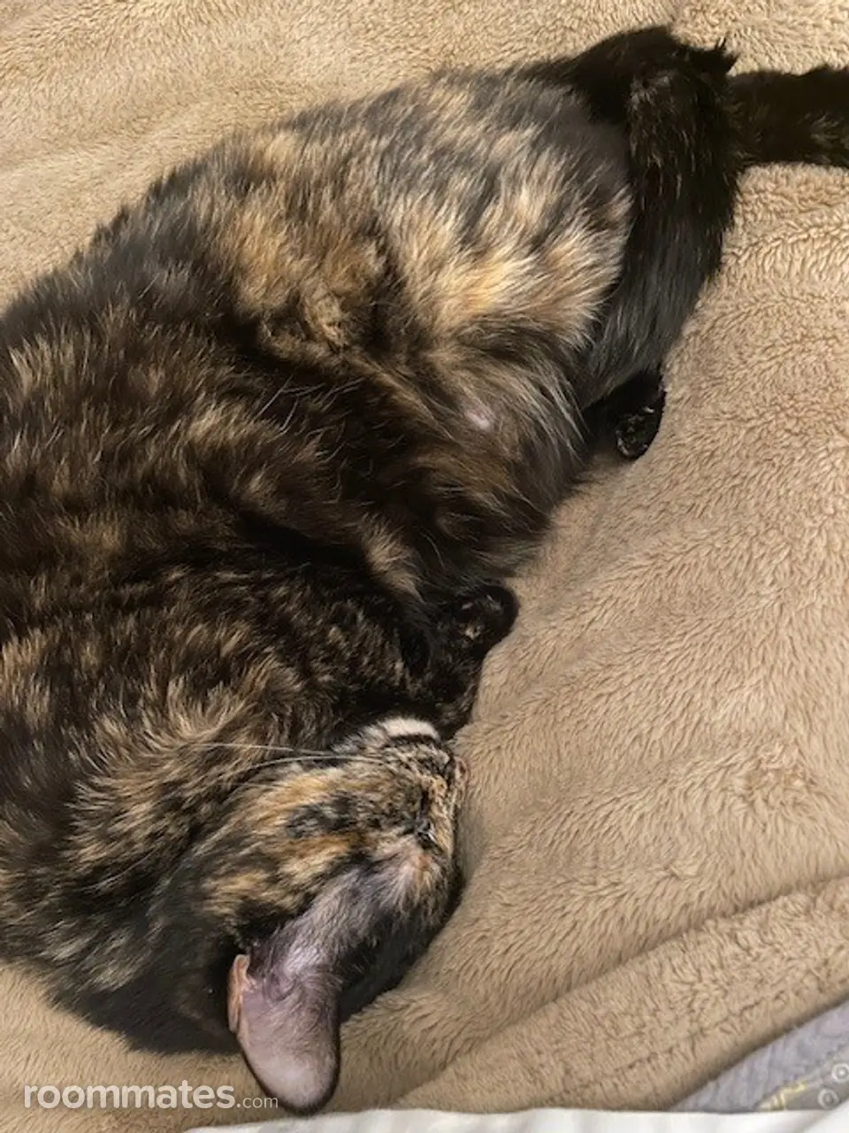 Profile photo 5 of 11