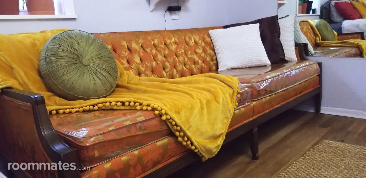 Profile photo 2 of 12