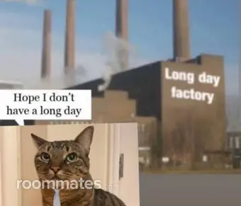 Roommate looking South Bend, IN, $700