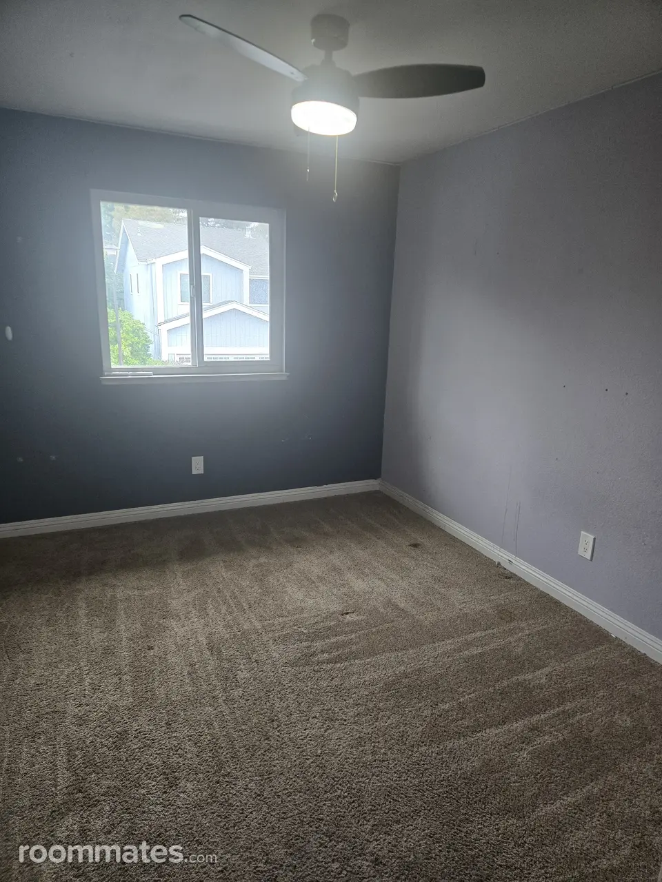 Profile photo 2 of 3