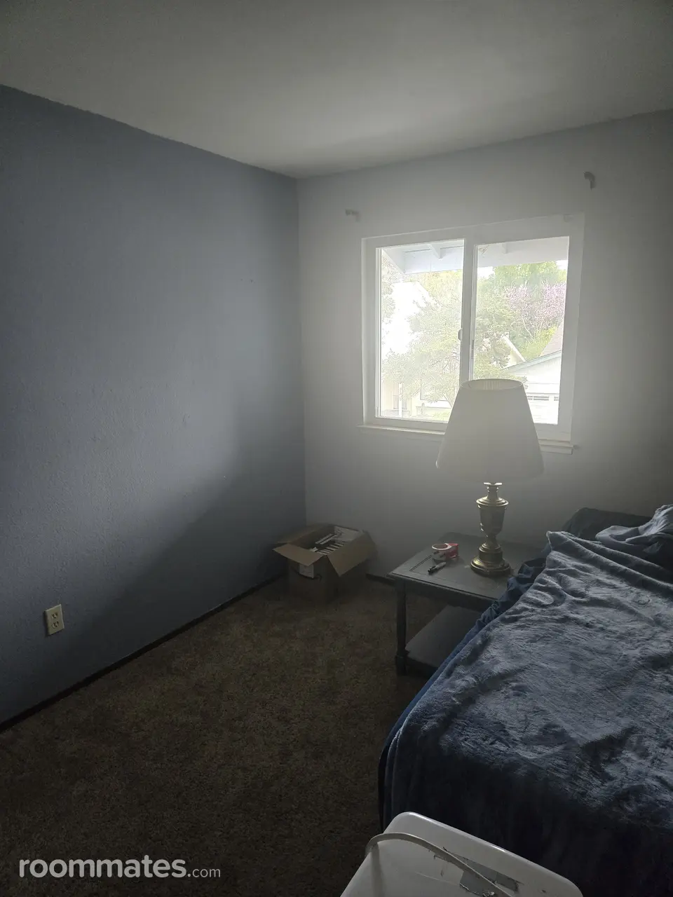 Profile photo 1 of 3