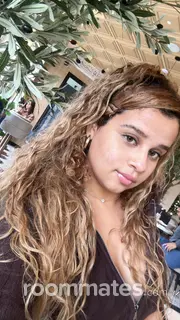 Roommate looking New Orleans, LA, $500