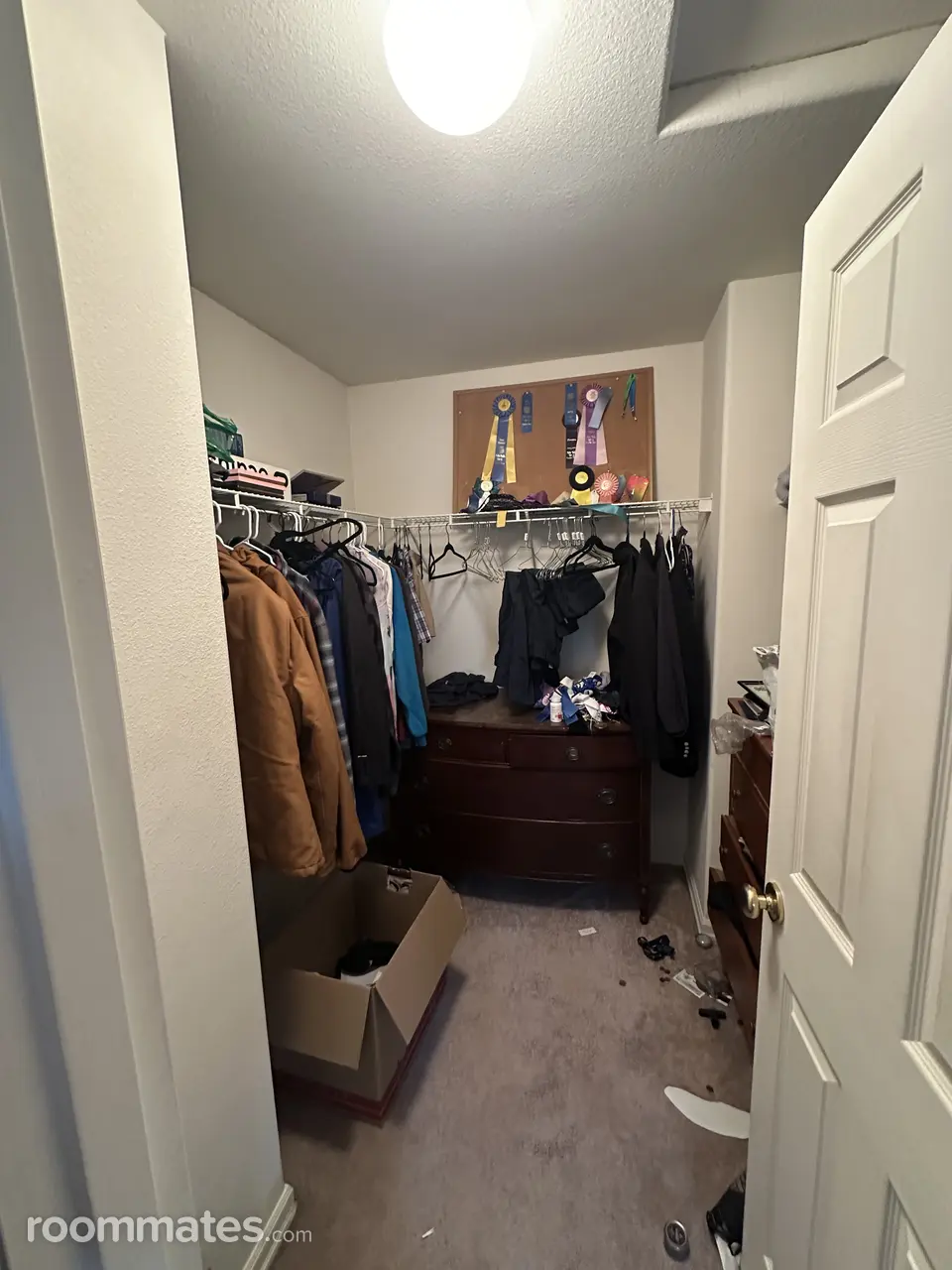 Profile photo 2 of 7