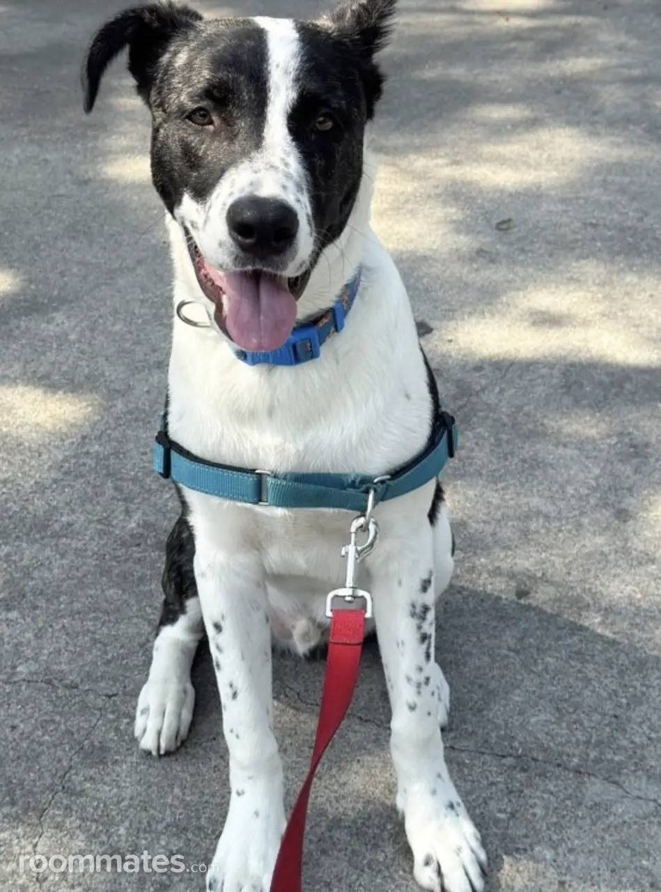 Profile photo 11 of 11