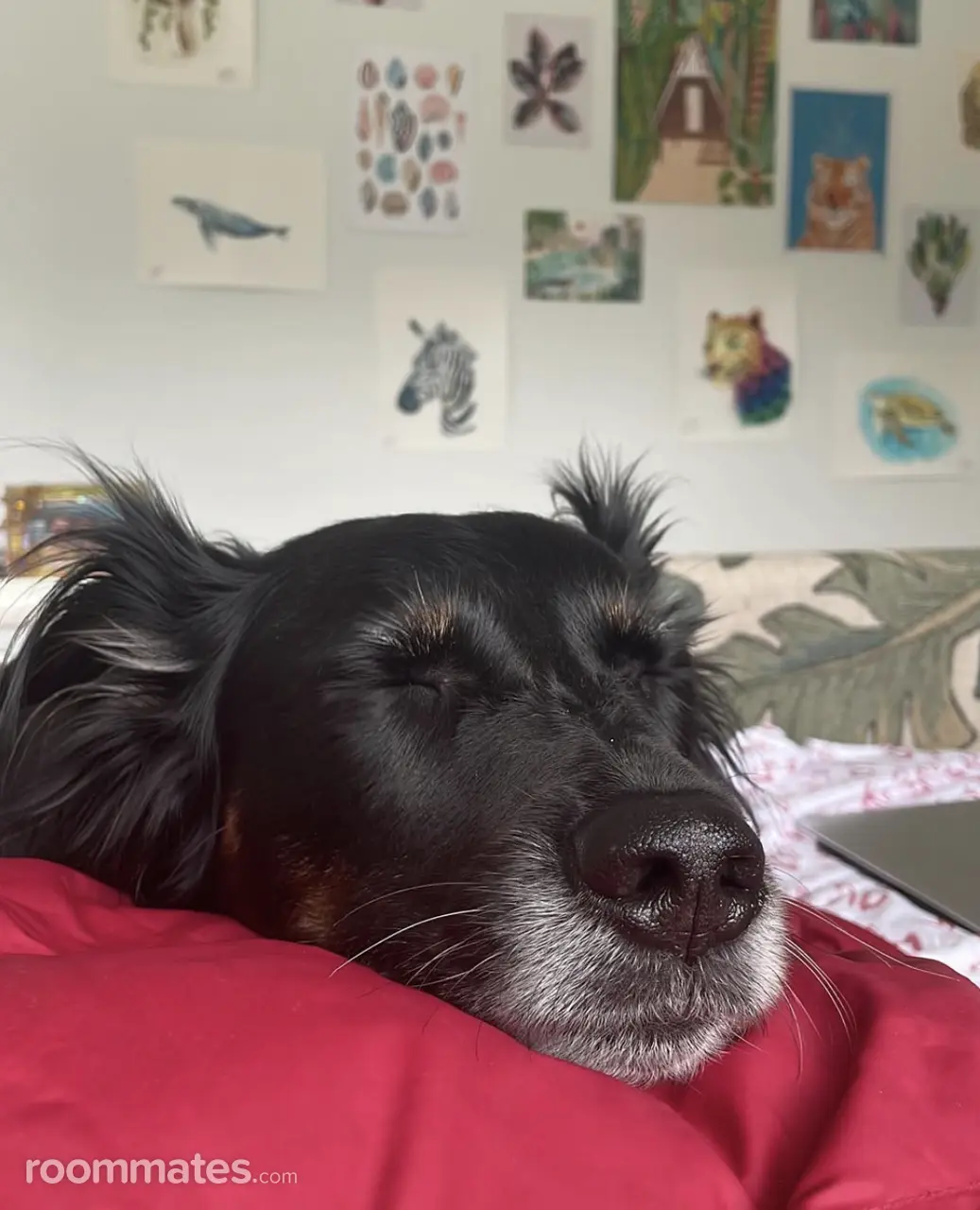 Profile photo 3 of 11