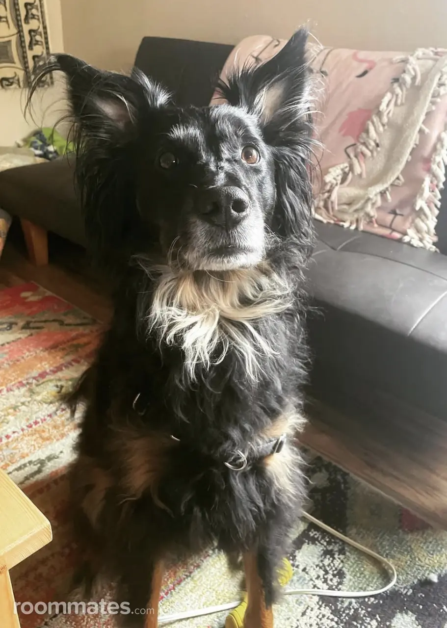 Profile photo 8 of 11