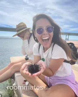 Roommate looking Austin, TX, $700