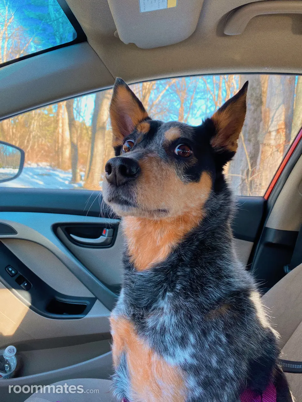 Profile photo 6 of 7