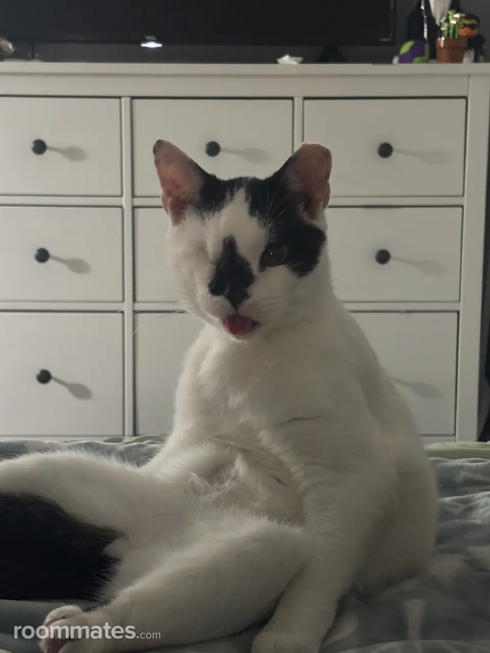 Profile photo 4 of 7