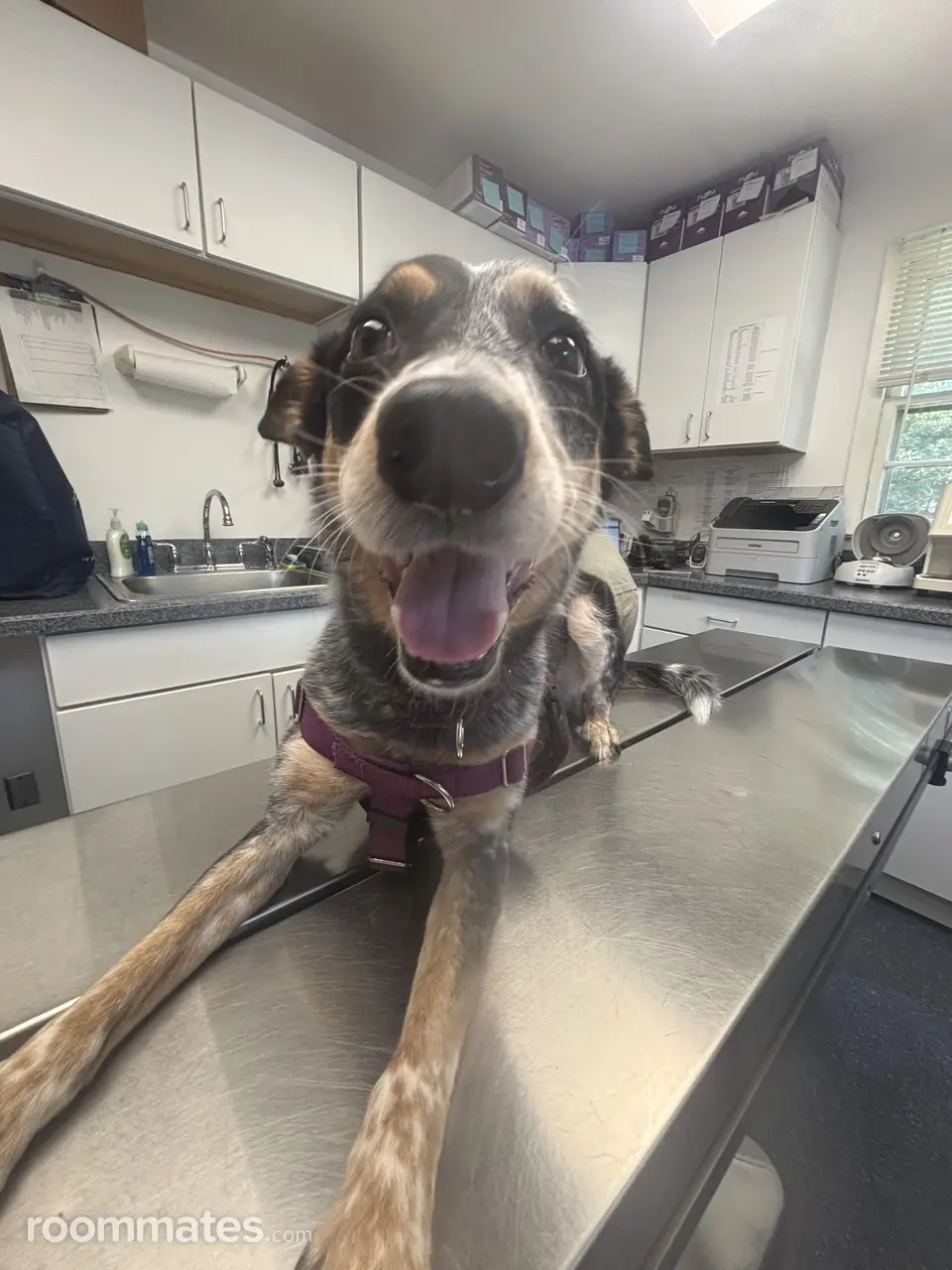 Profile photo 5 of 7