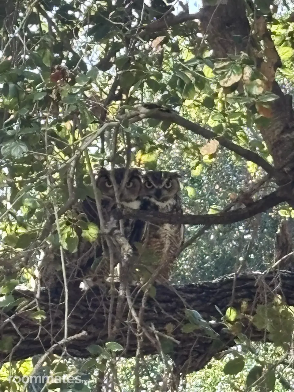 Profile photo 1 of 1