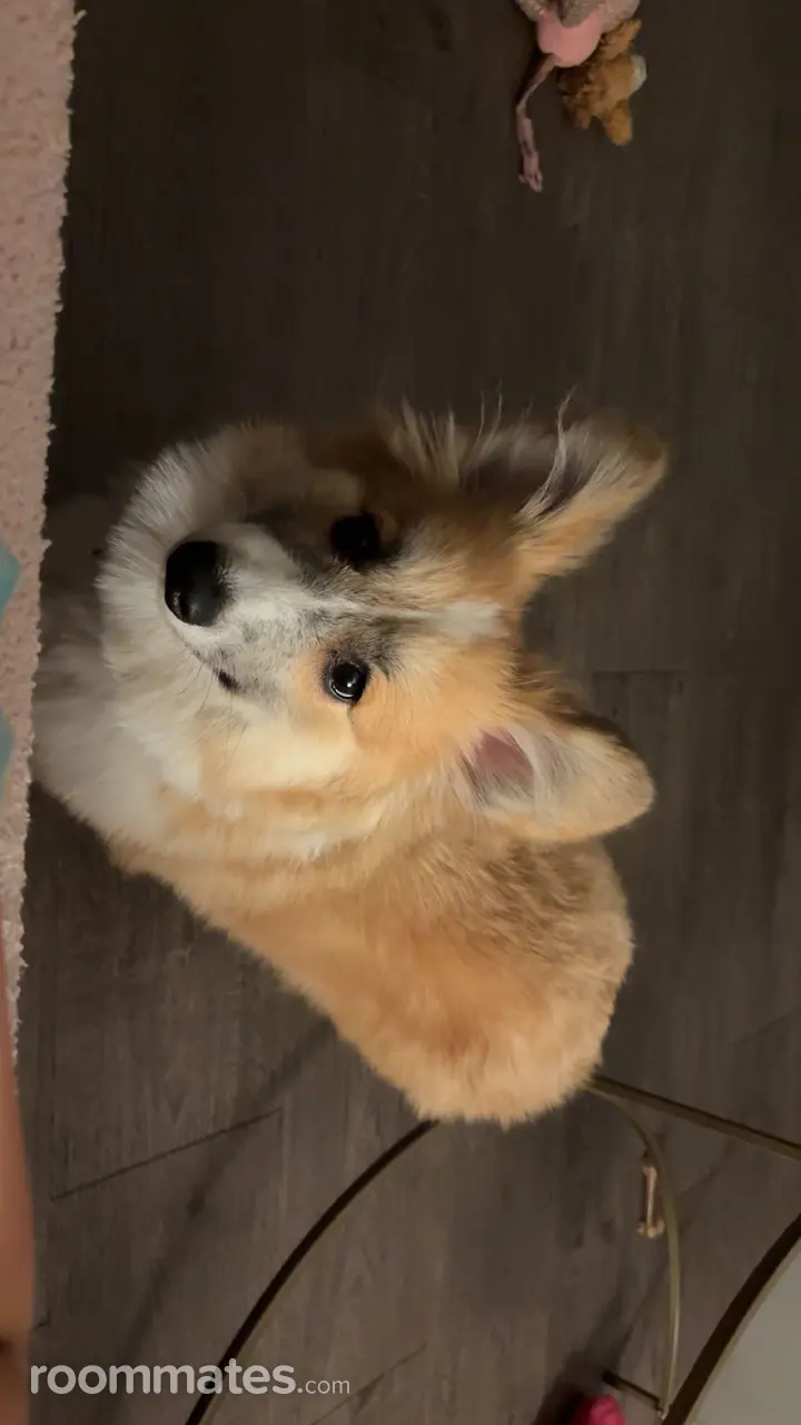 Profile photo 9 of 12