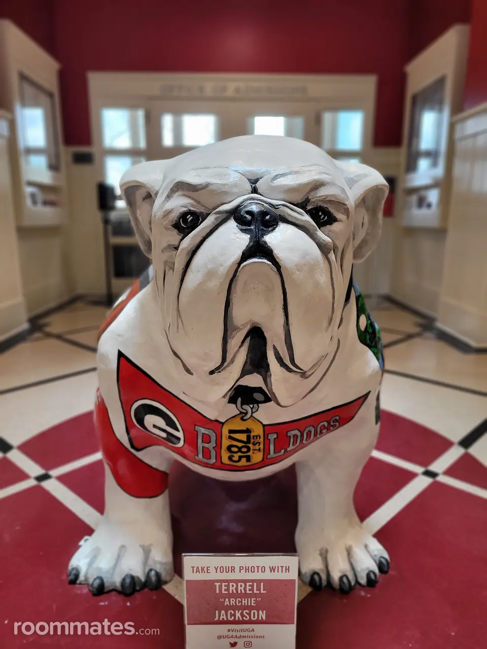 Profile photo 10 of 11