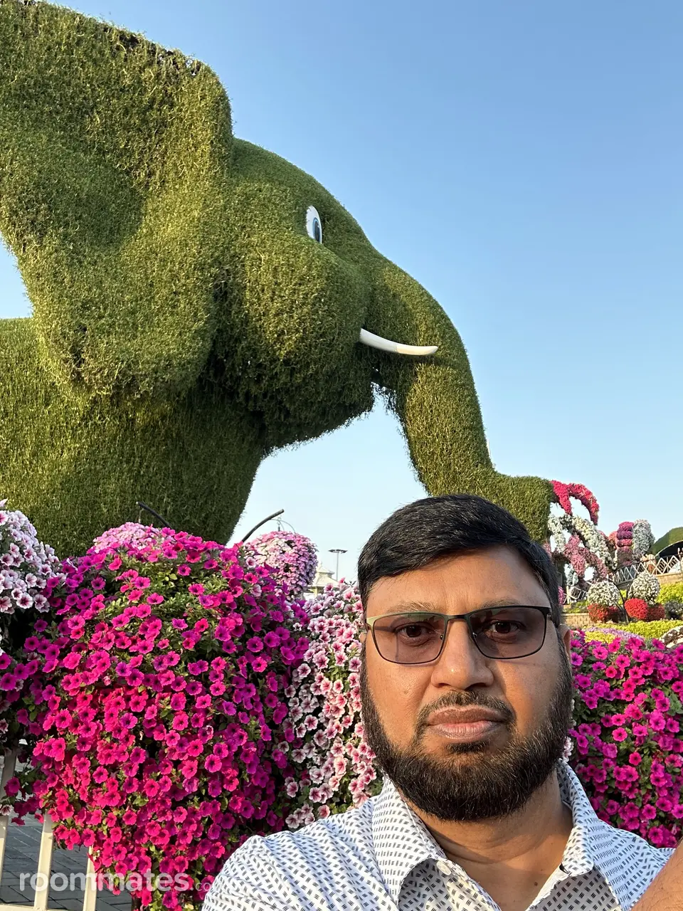 Profile photo 1 of 1