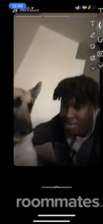 Roommate looking Elgin, IL, $1300