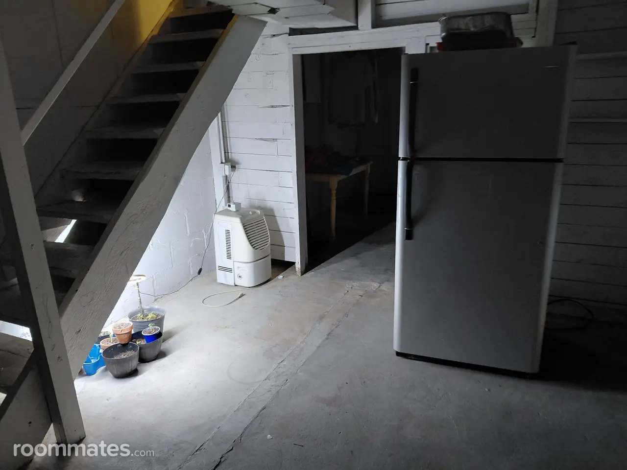 Profile photo 8 of 14